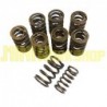SET MOLLE VALVOLE DOPPIE