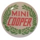 ADESIVO RESINATO POMELLO CAMBIO -MINI COOPER- (27MM)